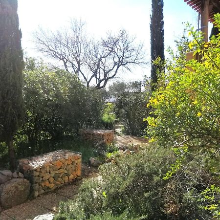T2 36 M2, Rdc De Villa, Clim, Gd Jardin Clos, Animx Ok, Quartier Mt Faron Tres Calme, Wifi, Parking Toulon Exterior foto