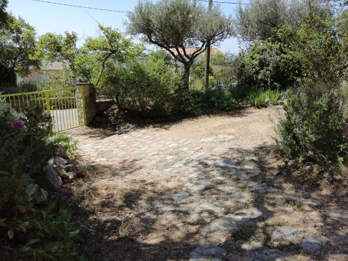 T2 36 M2, Rdc De Villa, Clim, Gd Jardin Clos, Animx Ok, Quartier Mt Faron Tres Calme, Wifi, Parking Toulon Exterior foto