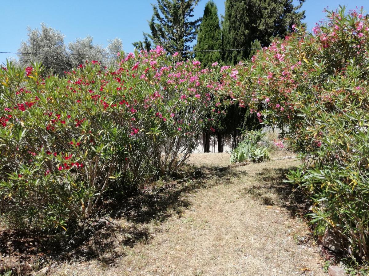 T2 36 M2, Rdc De Villa, Clim, Gd Jardin Clos, Animx Ok, Quartier Mt Faron Tres Calme, Wifi, Parking Toulon Exterior foto