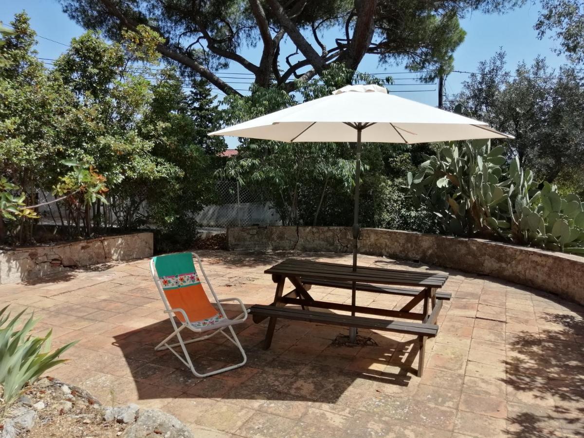 T2 36 M2, Rdc De Villa, Clim, Gd Jardin Clos, Animx Ok, Quartier Mt Faron Tres Calme, Wifi, Parking Toulon Exterior foto